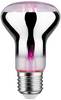 Paulmann Lampe pour plantes à LED, croissance 230 V E27 6.5 W ambré 1 pc(s)