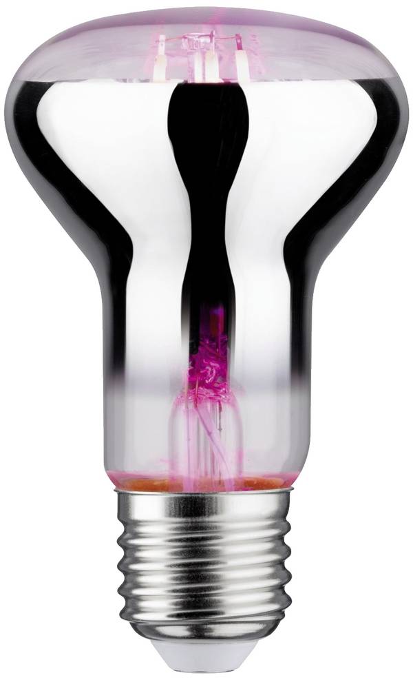 Paulmann Lampe pour plantes à LED, croissance   230 V E27 6.5 W  ambré   1 pc(s)