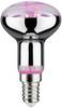 Paulmann Lampe pour plantes à LED, croissance 230 V E14 4 W ambré 1 pc(s)