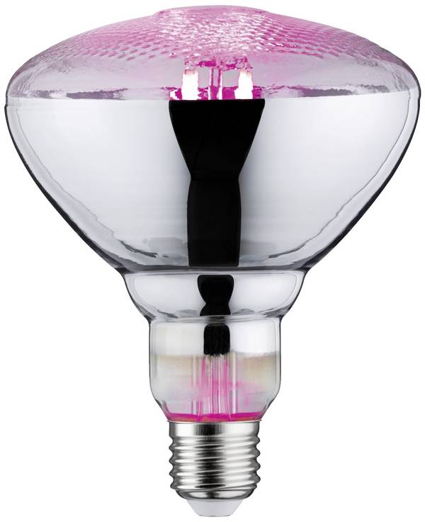 Paulmann Lampe pour plantes à LED, croissance   230 V E27 6.5 W  ambré   1 pc(s)