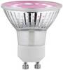 Paulmann Lampe pour plantes à LED, croissance 230 V GU10 3.5 W ambré 1 pc(s)