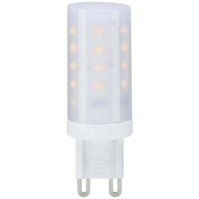 Ampoule LED cylindrique avec plusieurs points lumineux sur fond blanc, adaptée aux douilles G9.