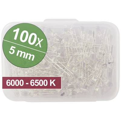 100 LED transparentes, diamètre de 5 mm, température de couleur 6000-6500 K, dans un boîtier en plastique.
