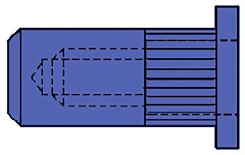 Coupe transversale d'une vis bleue avec bride. Montre les filets et la structure interne par des lignes pointillées.