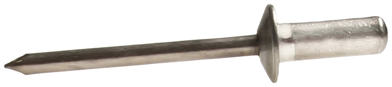 Un rivet aveugle en argent avec une tête plate ronde et une extrémité cylindrique, couramment utilisé pour assembler des matériaux.