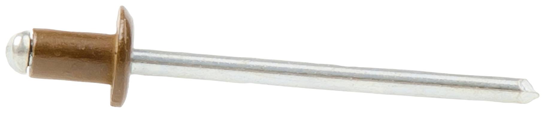 Un rivet à tige argentée et tête brune, élément de fixation typique, représenté sur un fond blanc.