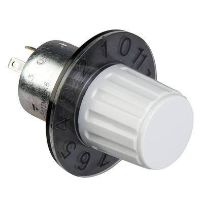 Bouton rotatif avec échelle noire de 0 à 10 sur boîtier métallique, bordure en plastique blanc dentelée. Composant électrique de réglage.