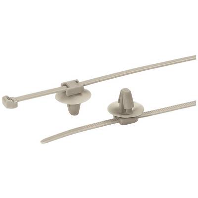 Deux serre-câbles beiges avec des clips de fixation. Un serre-câble est disposé à plat, l'autre montre un clip monté.