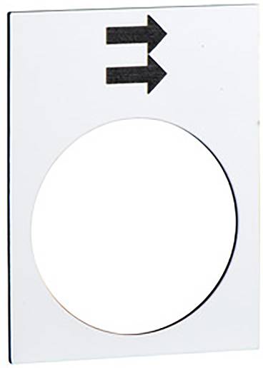 Un panneau rectangulaire avec un grand cercle au centre et une double flèche pointant vers la droite en haut.