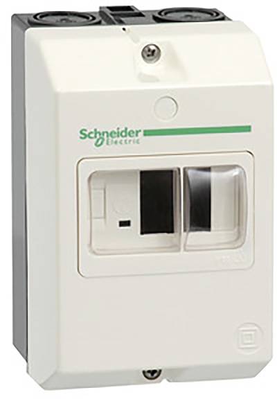Boîtier électrique avec deux interrupteurs à bascule, de marque Schneider Electric, monté sur un mur blanc.