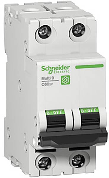 Un disjoncteur blanc de Schneider Electric avec deux interrupteurs à bascule et un logo vert dessus.