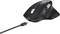 Souris d'ordinateur sans fil noire avec molette de défilement, plusieurs boutons et câble de charge USB-C, adaptée au travail ergonomique.