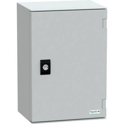 Un boîtier électrique gris avec un verrou noir et le logo Schneider Electric en bas à droite.