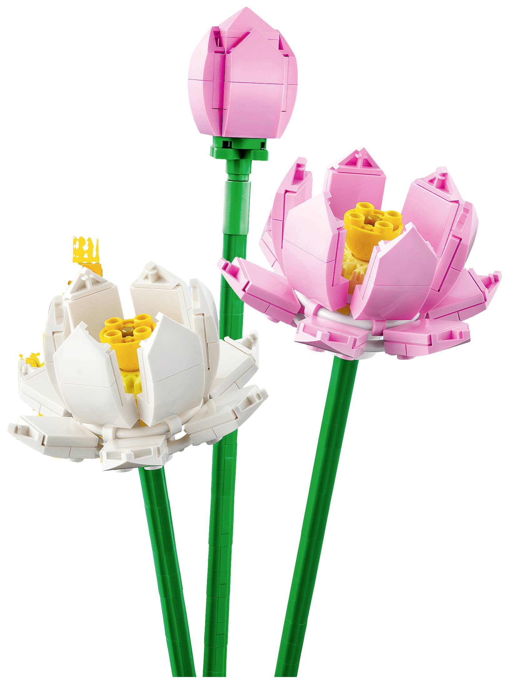 LEGO 40647 Les fleurs de lotus (Icons) (Botanical Collection