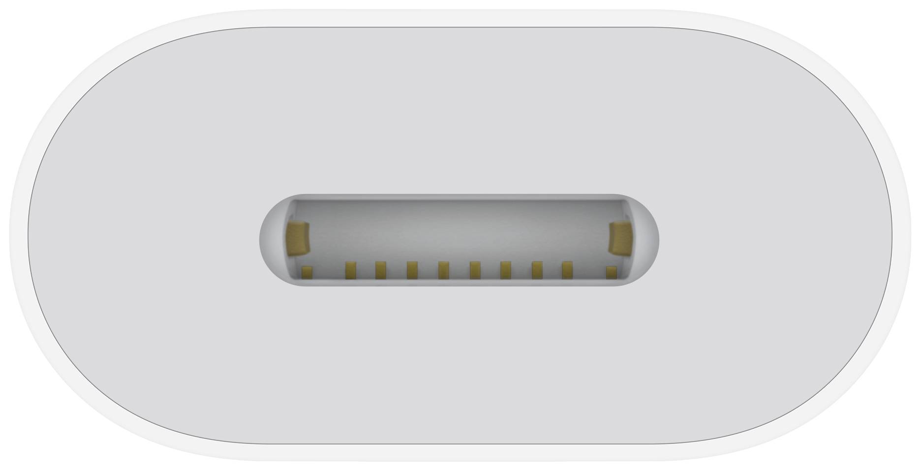 Un connecteur USB-C vu de dessus, montrant sa forme elliptique et ses contacts internes disposés de manière symétrique.