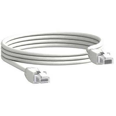 Câble Ethernet blanc avec connecteurs RJ-45 aux deux extrémités, enroulé et prêt à être utilisé dans des réseaux ou pour une connexion Internet.