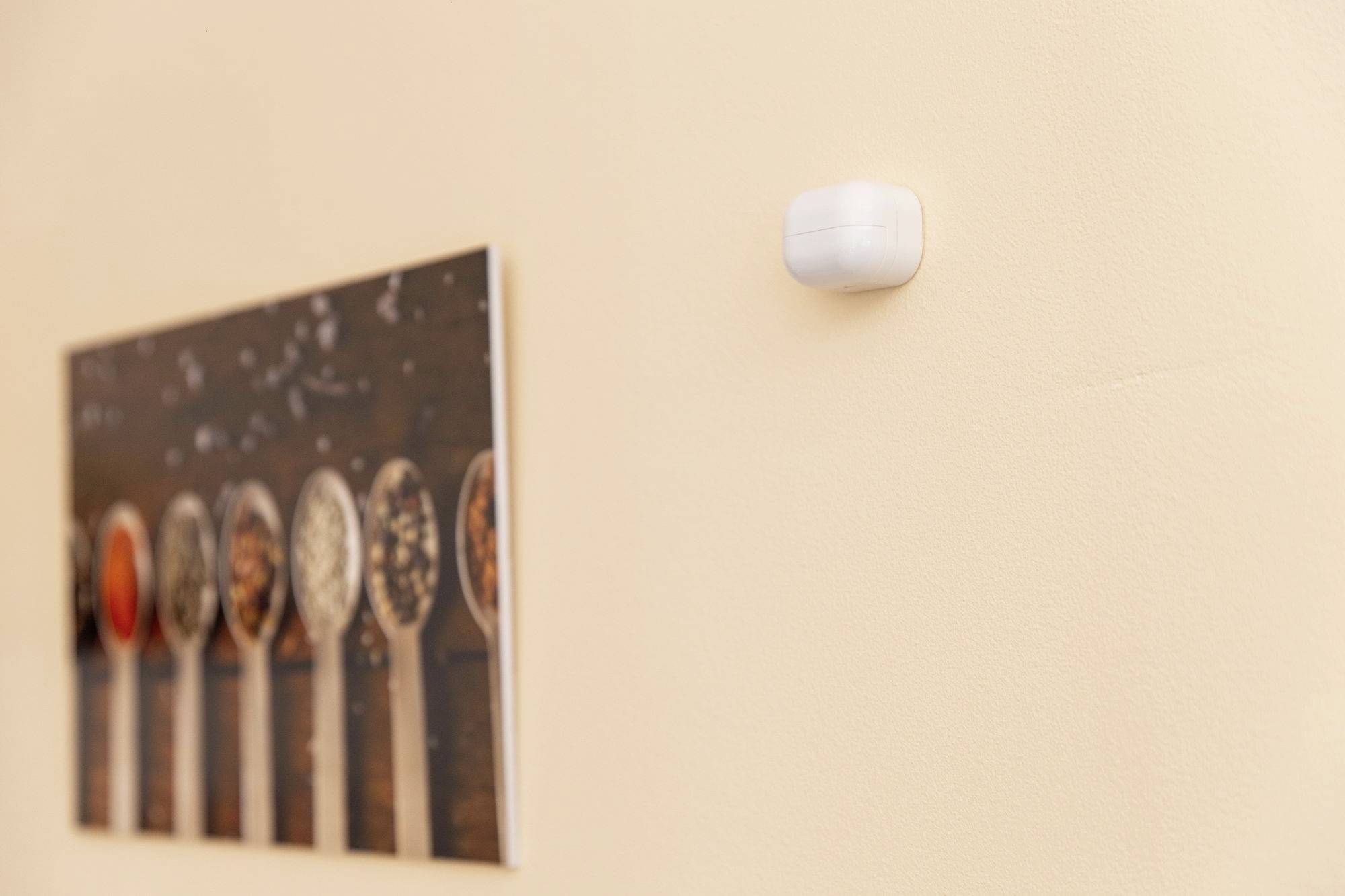 Un appareil blanc et rectangulaire est fixé à un mur beige. À côté, il y a un tableau représentant huit petites cuillères remplies d'épices.