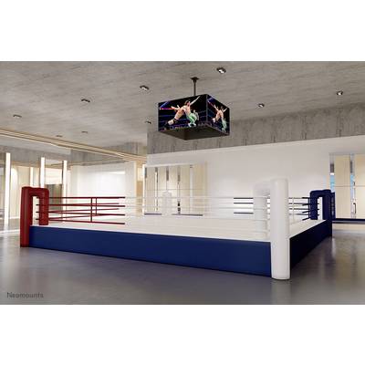 Un ring de boxe vide dans un gymnase, avec un écran suspendu au plafond diffusant un match de catch.