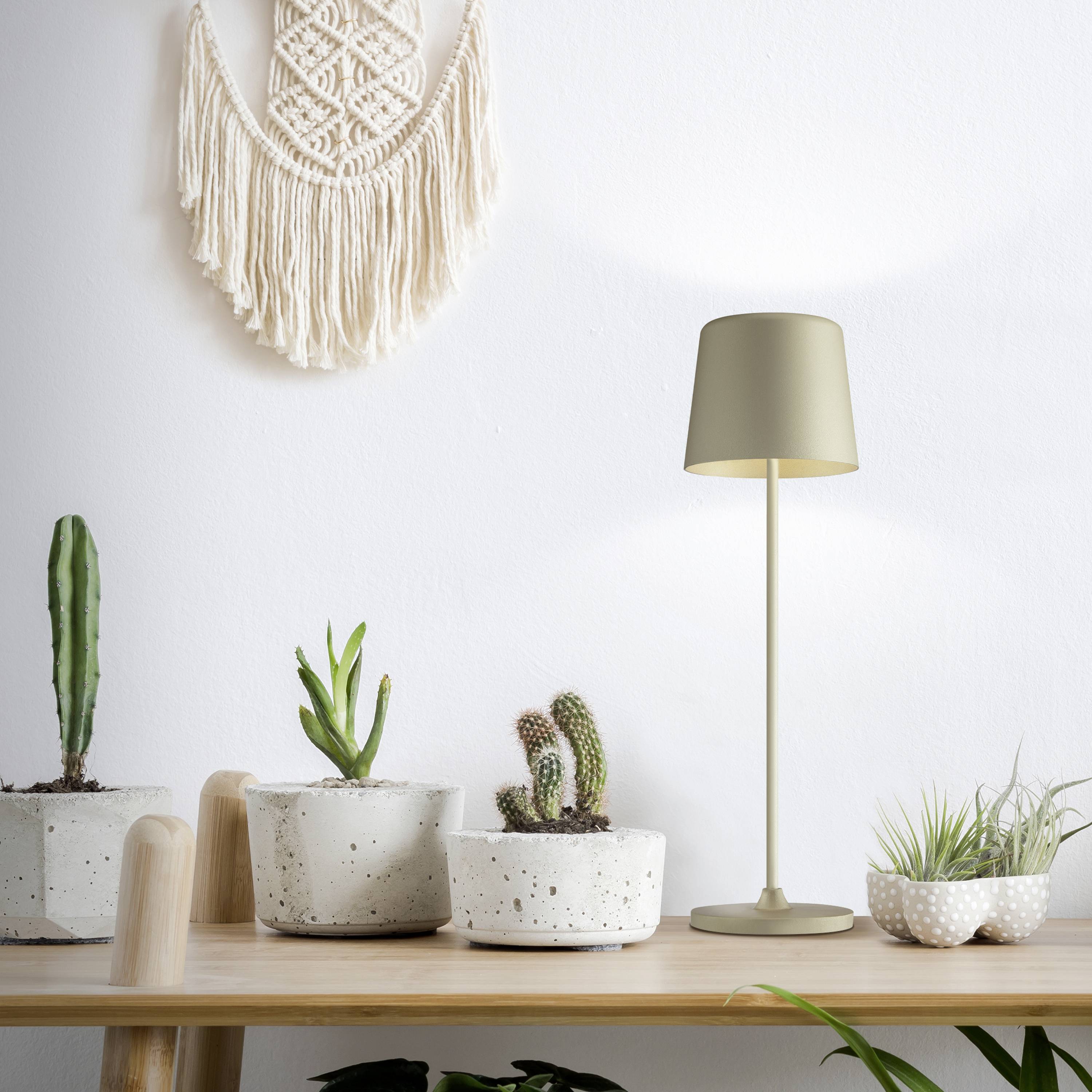 Une étagère en bois avec trois cactus dans des pots blancs, à côté d'une lampe de table moderne et d'une plante verte. En arrière-plan, une décoration murale en macramé est suspendue.