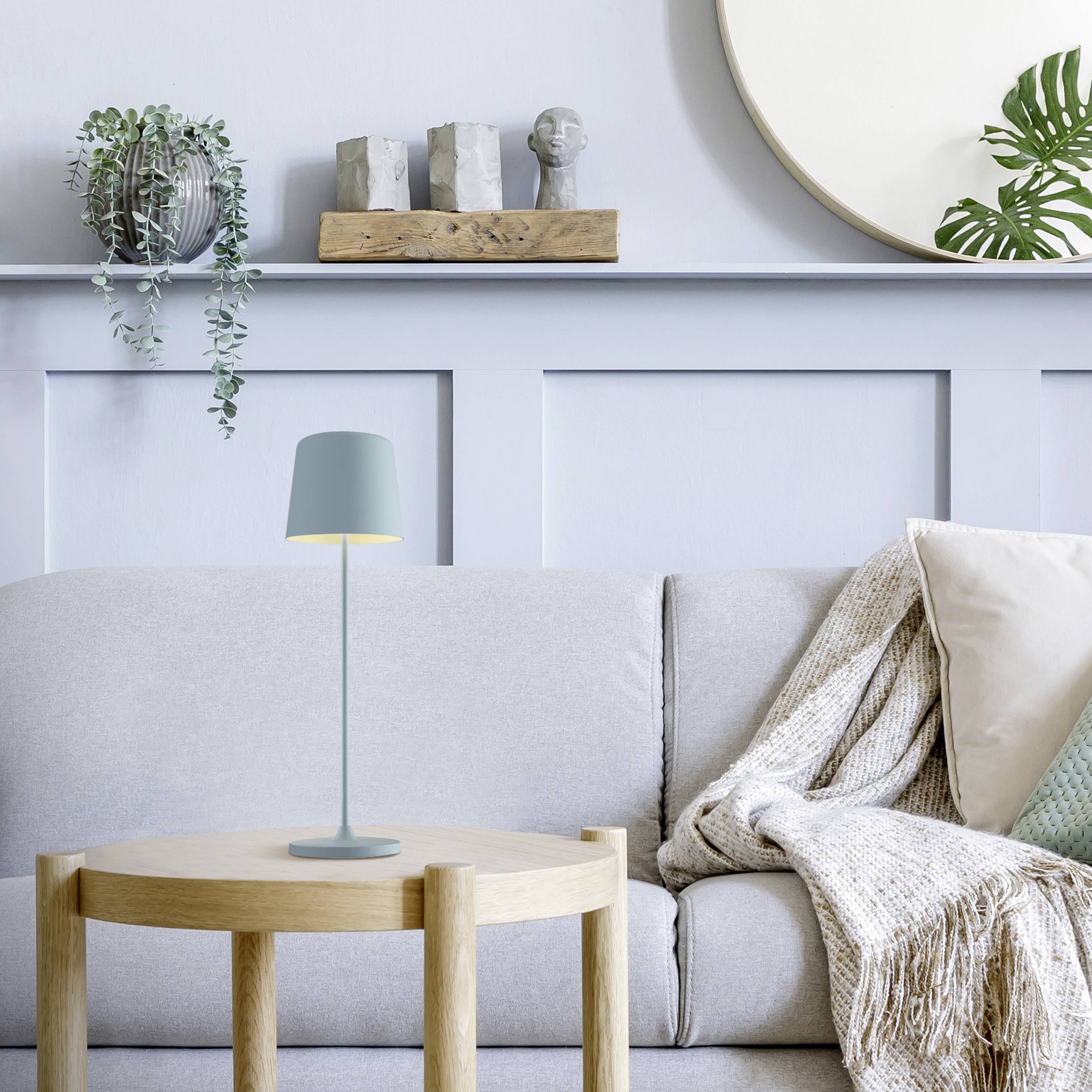 Un salon accueillant avec un canapé gris clair, des coussins et une couverture. Une table en bois avec une lampe et des plantes.