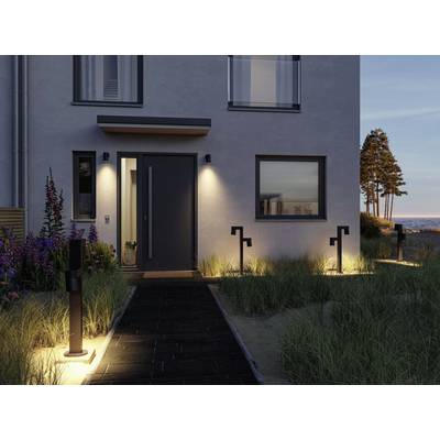 Chemin éclairé menant à une maison moderne au crépuscule, bordé de graminées et de lampes de jardin. Des arbres se dressent en arrière-plan.