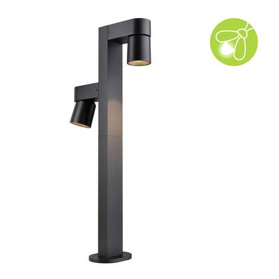 Luminaire extérieur noir avec deux sources lumineuses sur un cadre vertical. Symbole d'ampoule verte en haut à droite.