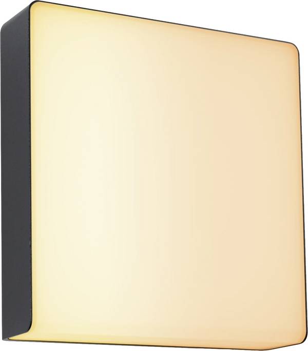 Paulmann Applique murale extérieure LED avec détecteur de mouvement  Azalena   8.5 W RVBB
