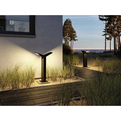 Des luminaires modernes éclairent un chemin piétonnier à côté d'une maison. En arrière-plan, on aperçoit une zone boisée et la mer.