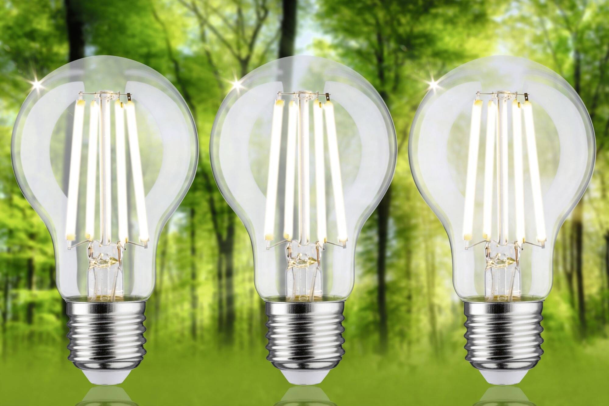 Trois ampoules lumineuses devant un arrière-plan d'arbres verts flous, symbolisant l'efficacité énergétique et la durabilité.