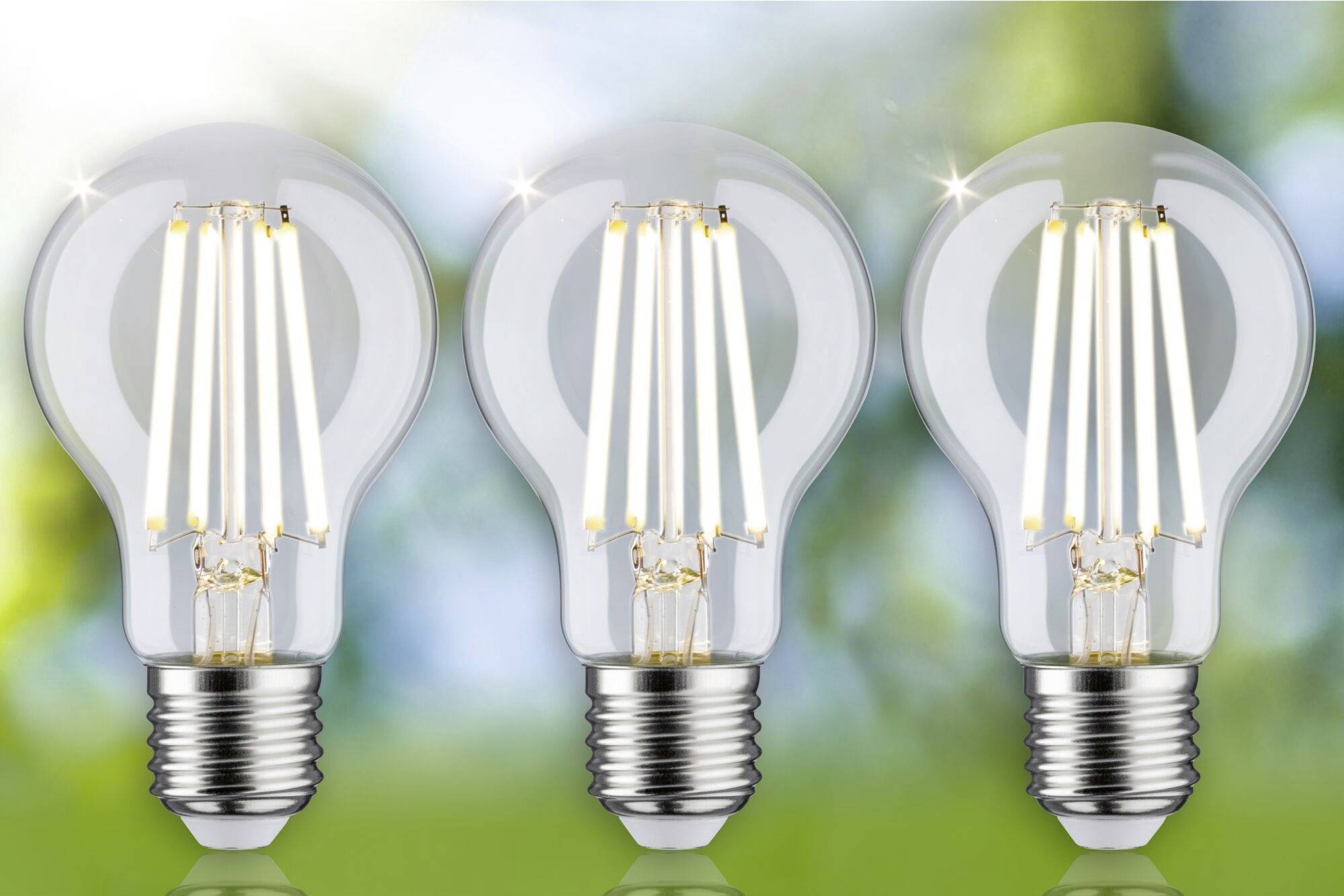 Trois ampoules transparentes devant un arrière-plan vert flou. Elles présentent des filaments LED lumineux qui sont allumés.