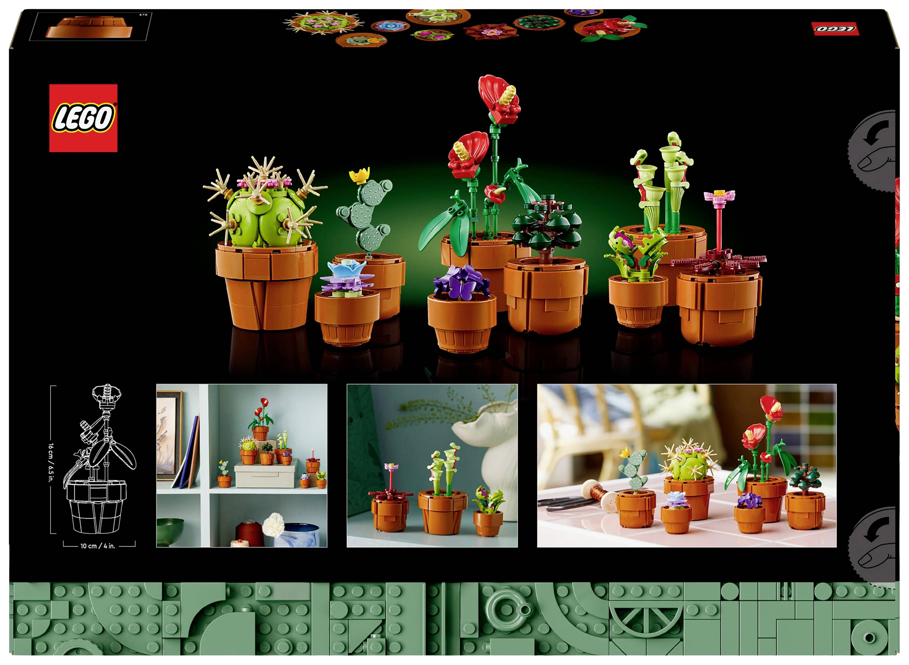 Ensemble LEGO avec des motifs de plantes en pots, présentant six designs de plantes différents. Dos de la boîte avec des exemples d'application.