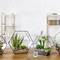 Trois terrariums sur une table en bois, garnis de différentes succulentes et cactus, devant un mur de briques blanches ; décoration moderne.