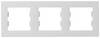 Schneider Electric Cadre Asfora blanc (RAL 9003) EPH5800321D 1 pc(s)