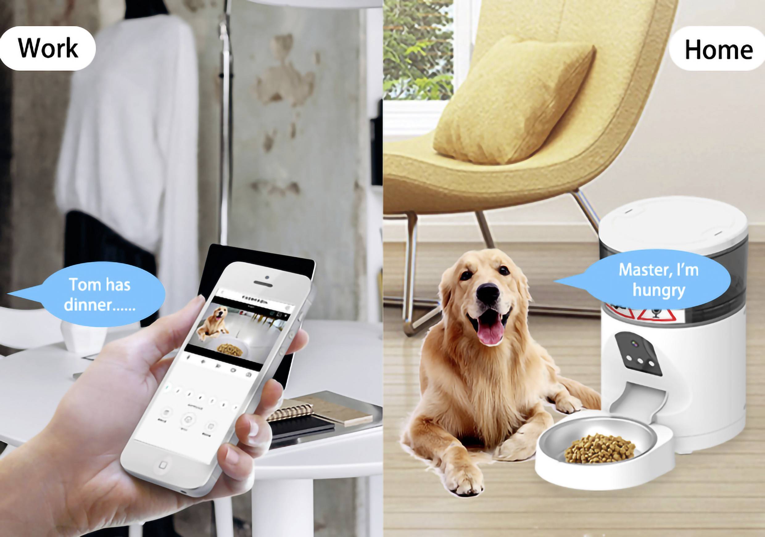Une personne commande un distributeur automatique de nourriture pour son chien à la maison via son téléphone portable depuis son travail. Le chien attend à côté de l'appareil.