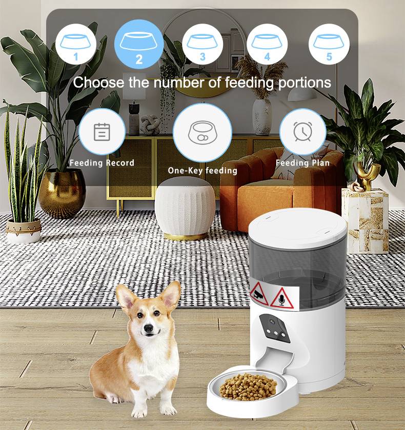 Un Corgi est assis à côté d'un distributeur automatique de nourriture contenant une portion de croquettes dans un salon au design moderne.