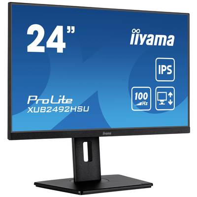 Écran iiyama, modèle ProLite XUB2492HSU, 24 pouces, avec technologie IPS et taux de rafraîchissement de 100 Hz.