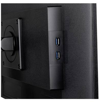 Le dos d'un moniteur montrant deux ports USB.