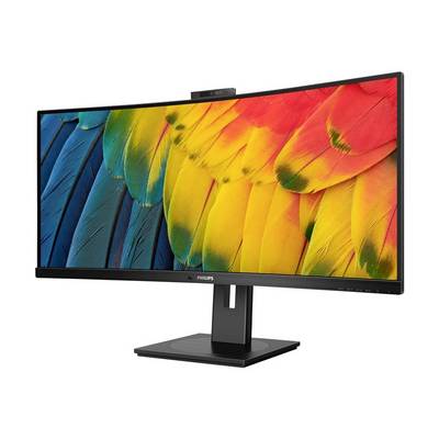 Écran d'ordinateur large avec un affichage lumineux de plume de perroquet, monté sur un support noir.