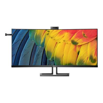 Un large écran d'ordinateur affiche des plumes de perroquets colorées et superposées.