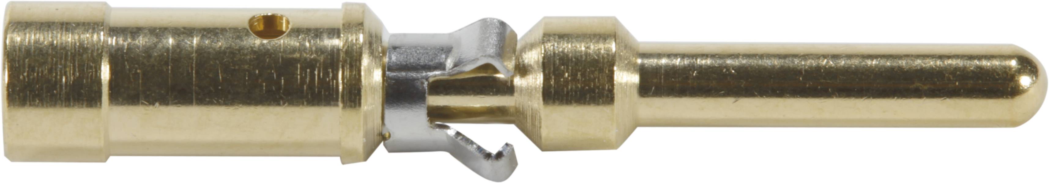 Contact électrique doré, de forme cylindrique, avec une broche saillante et un clip couleur argent pour la connexion.