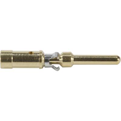 Contact électrique doré, de forme cylindrique, avec une broche saillante et un clip couleur argent pour la connexion.