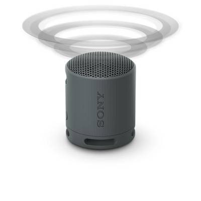 Un haut-parleur portable gris de Sony avec des ondes sonores représentées au-dessus pour visualiser la sortie audio.