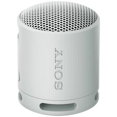 Sony SRSXB100H.CE7 Enceinte Bluetooth fonction mains libres, protégée contre les projections d'eau gris clair