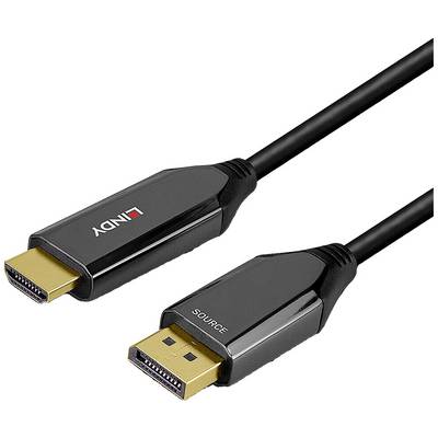Un câble noir HDMI vers DisplayPort. À gauche, la fiche HDMI, à droite, la fiche DisplayPort portant l'inscription « SOURCE ».
