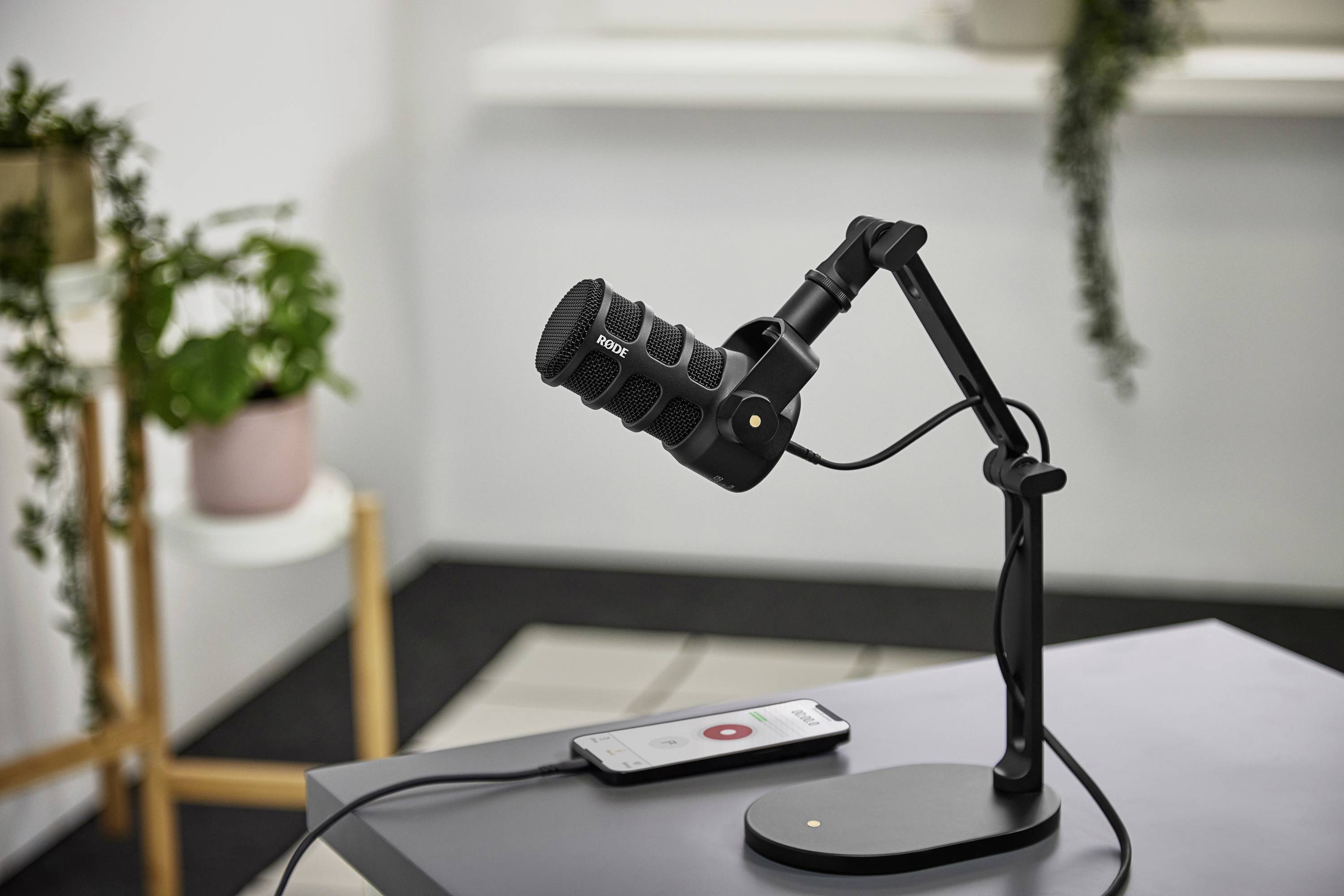 Un microphone noir sur une table, connecté à un smartphone. Des plantes et une fenêtre sont visibles en arrière-plan.