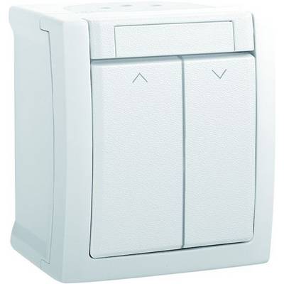 Interrupteur double en blanc, avec deux interrupteurs à bascule orientés vers le haut ou vers le bas.