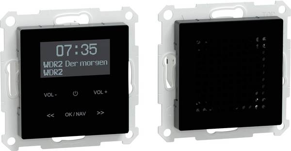 Merten  Cadre Radio System M multicolore MEG4375-0303 1 pc(s)