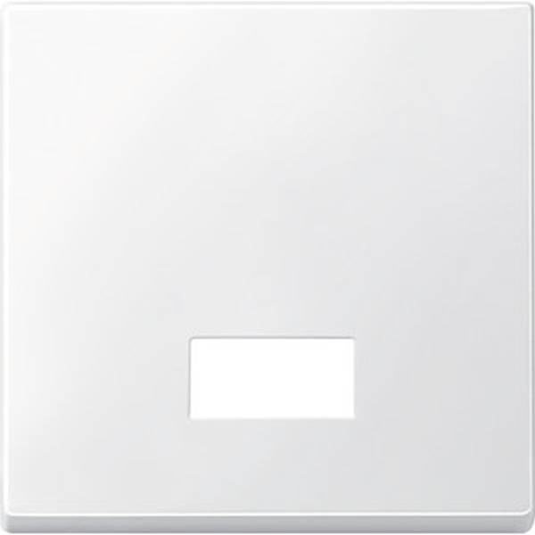 Couvercle carré blanc avec une fente rectangulaire dans la moitié inférieure, probablement adapté pour un interrupteur ou une prise électrique.