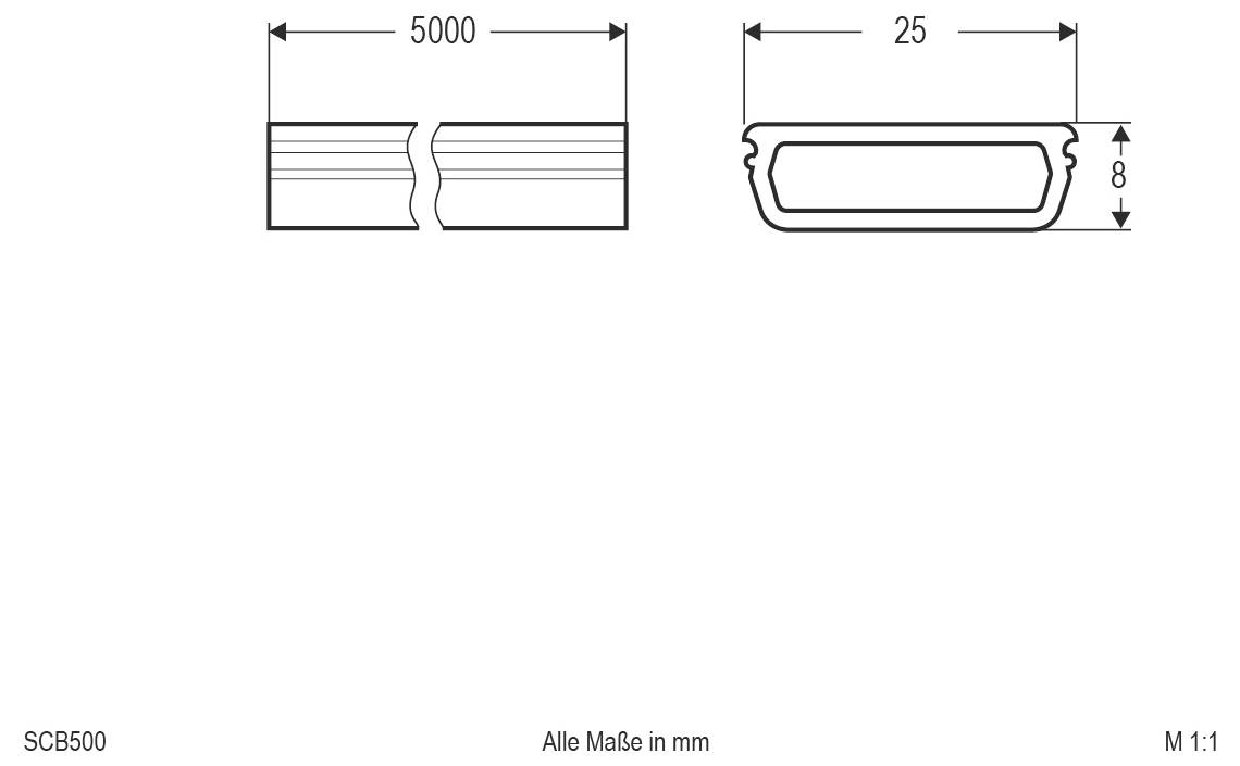 Dessin technique d'un profil en bande : 5000 mm de long, 25 mm de large et 8 mm de haut, présenté en vues de côté et de coupe transversale avec des dimensions en millimètres.