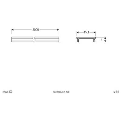Dessin technique d'un profilé de 3000 mm de long, avec des dimensions de section transversale de 15,1 mm de large et 4 mm de haut ; toutes les mesures en mm.